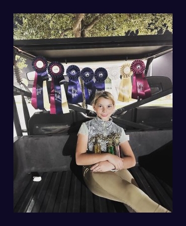 horse jumping ribbons