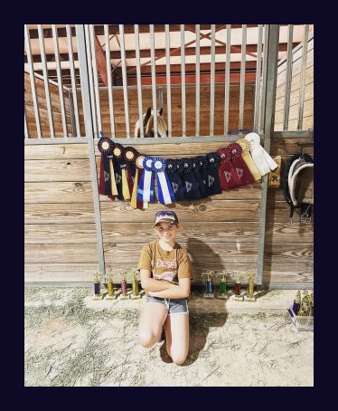 horse jumping ribbons